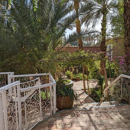 Villa Zagora Ma Villa Au Sahara Екстериор снимка