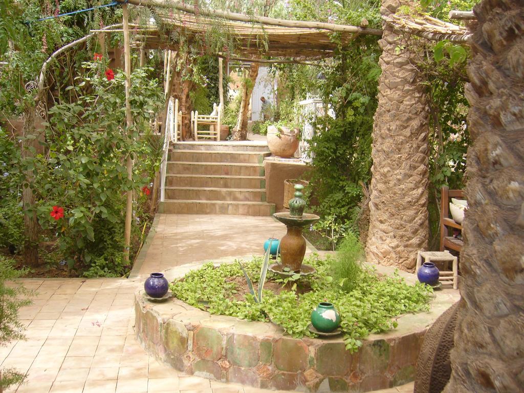 Villa Zagora Ma Villa Au Sahara Екстериор снимка