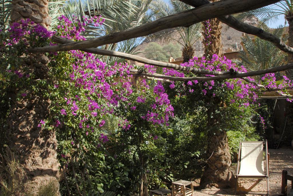 Villa Zagora Ma Villa Au Sahara Екстериор снимка