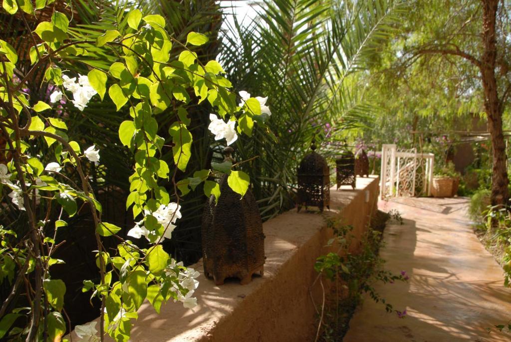 Villa Zagora Ma Villa Au Sahara Екстериор снимка