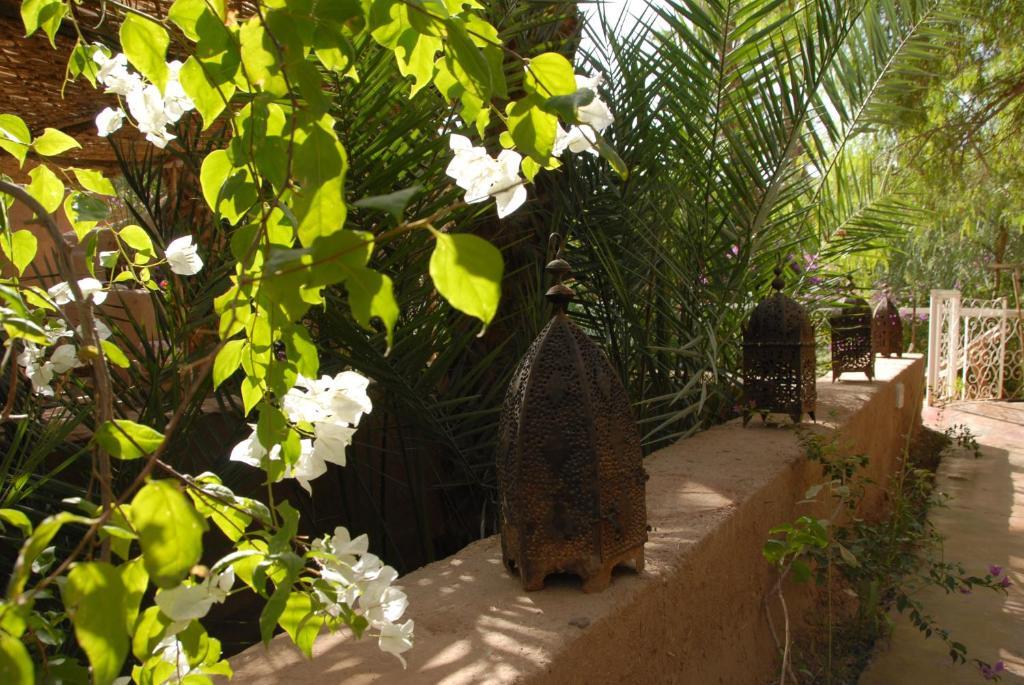 Villa Zagora Ma Villa Au Sahara Екстериор снимка