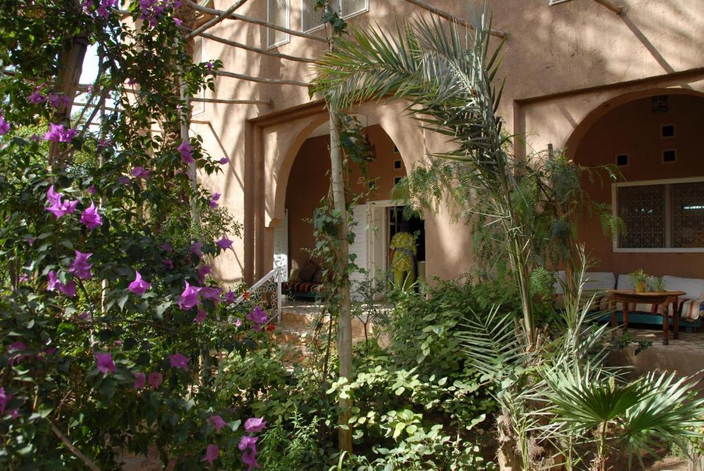 Villa Zagora Ma Villa Au Sahara Екстериор снимка